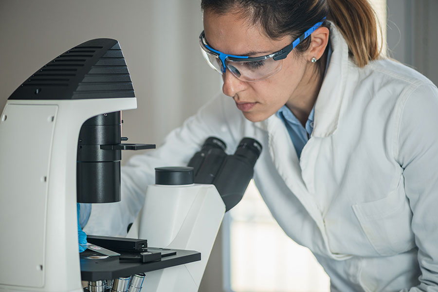 Kutatási asszisztens